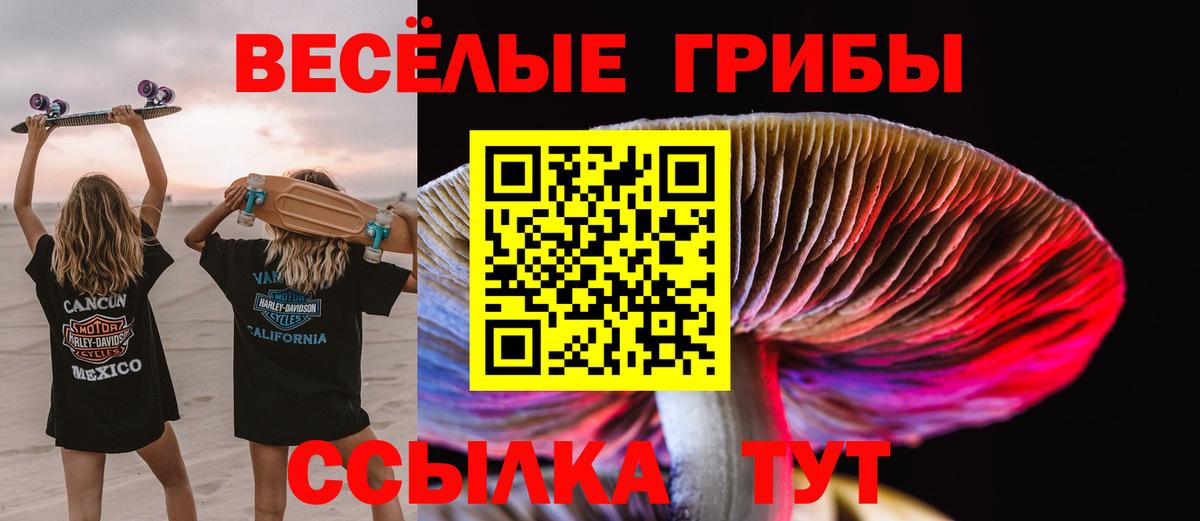 Галлюциногенные грибы мицелий Омск